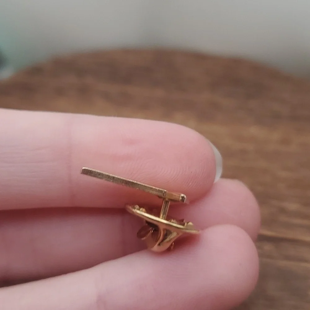 Check mark‎ vintage pin B526